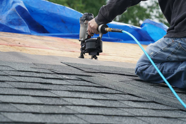 Best Roof Gutter Cleaning  in Pinebluff, NC
