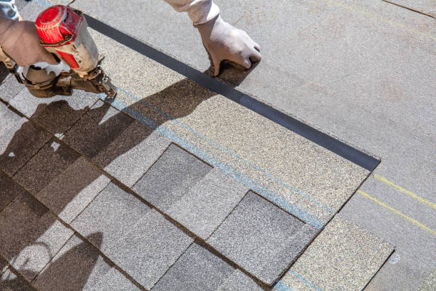 Best Gutter Installation and Roofing  in Pinebluff, NC